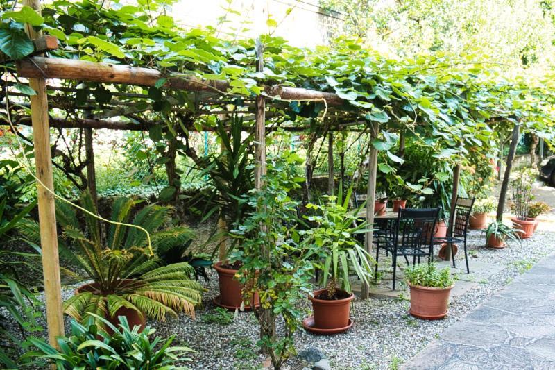 Cafe Rudi Living Bed & Breakfast Parcines Eksteriør bilde